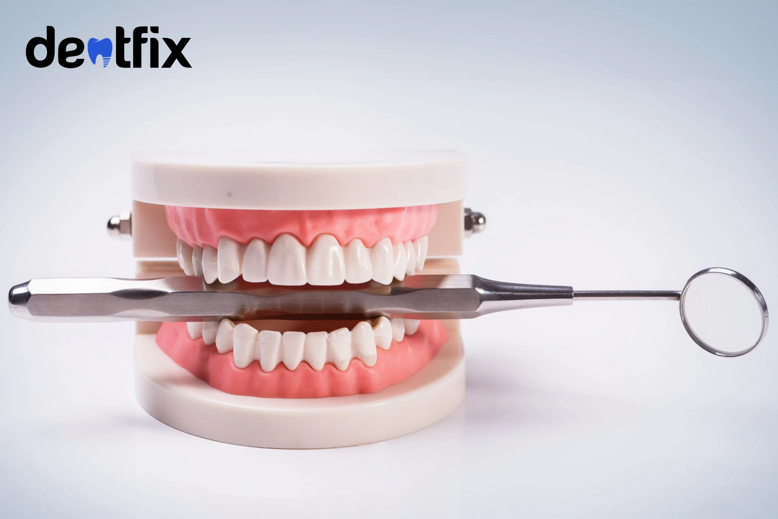 Parts of Tooth: Types, Roles, and Some Fun Facts
